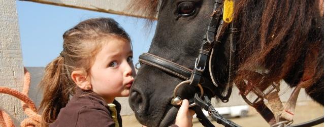 cheval