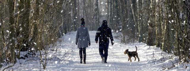 balade hiver