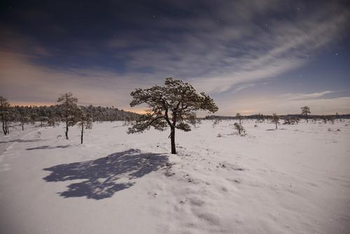 Une vague de froid arrive sur la France (c) Shutterstock