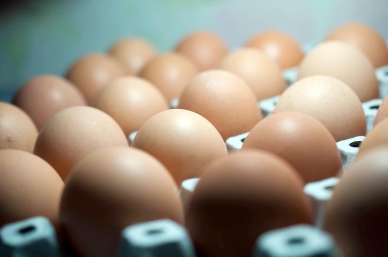 fipronil-scandale-alimentaire-contamination-pesticide-retrait-marche
