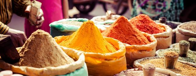 Envolez-vous pour l'Inde...