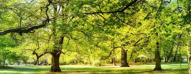 Que la nature est belle !