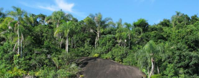 La Costa Verde ou quand Rio vous emmène au paradis