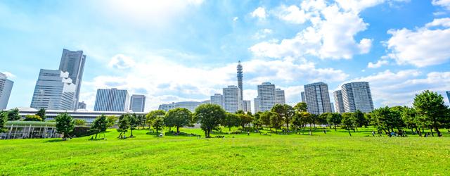 Nouvelle tendance dans nos ville: l'agriculture urbaine !
