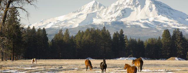 L'Oregon sous toutes les coutures