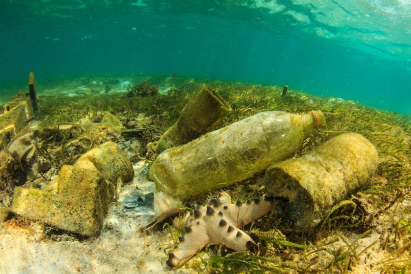 270 000 tonnes de plastique flottent dans les océans.