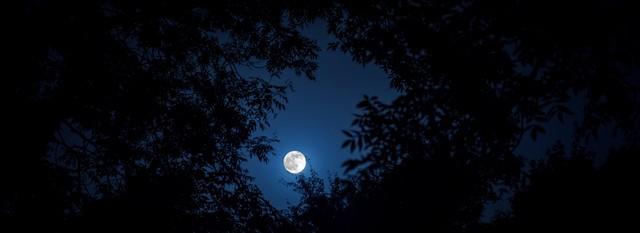 jardinage lune
