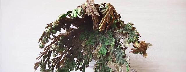 La rose de Jericho, la fleur de résurrection 