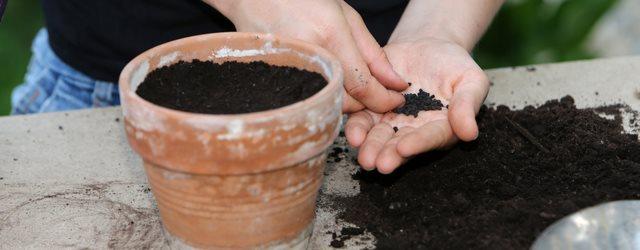 Quelle météo pour le festival des Graines de jardin ?