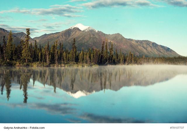 faune en Alaska