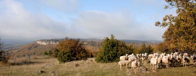 Larzac