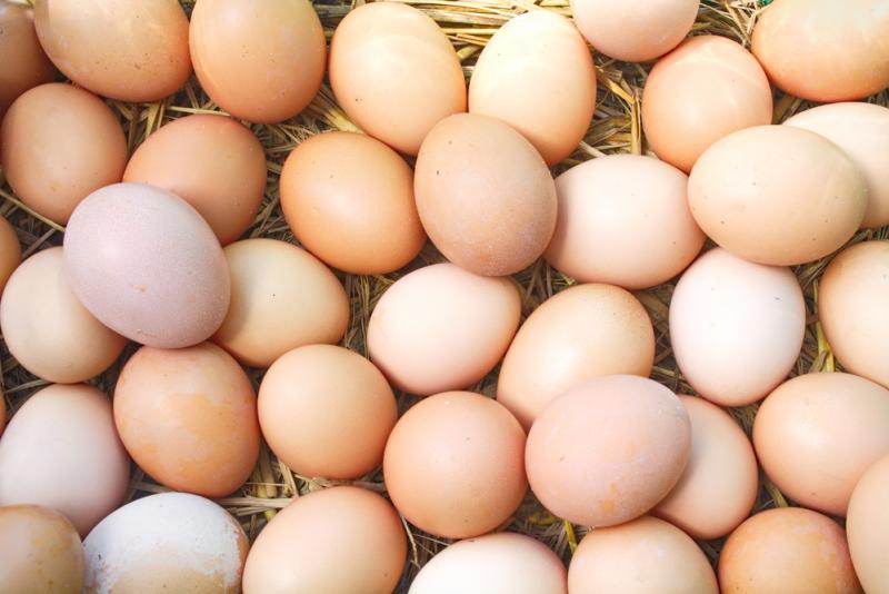 Les oeufs ne favorisent pas le cholestérol 