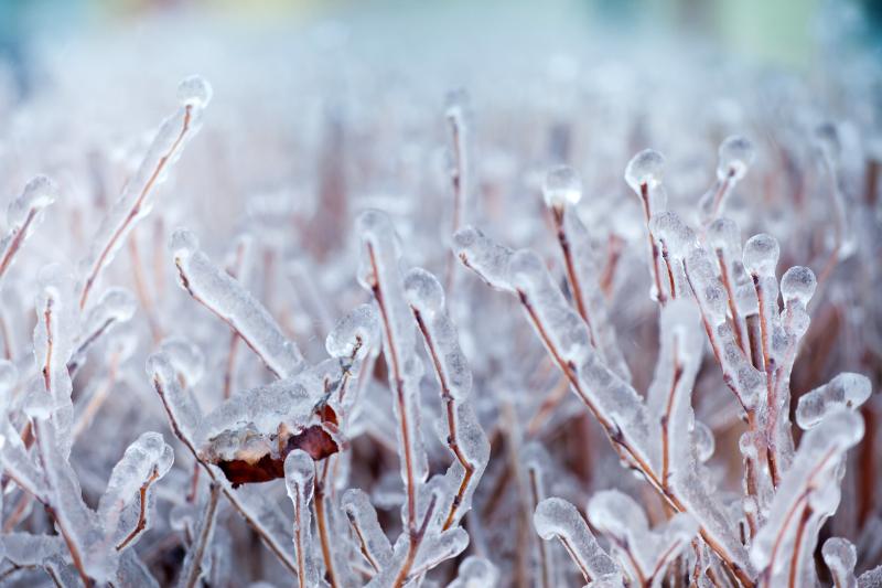 Le village d'Oymyakon : village le plus froid du monde !