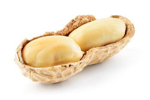 arachides-allergies-sante-traitement-alimentation-succes