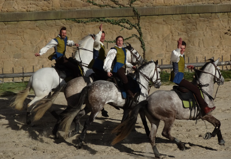 Le Puy du Fou attire chaque année des milliers de visiteurs. 