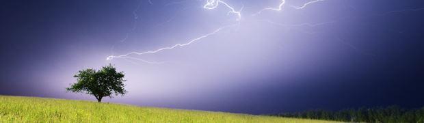 En cas d'orage, ne jamais se mettre sous un arbre