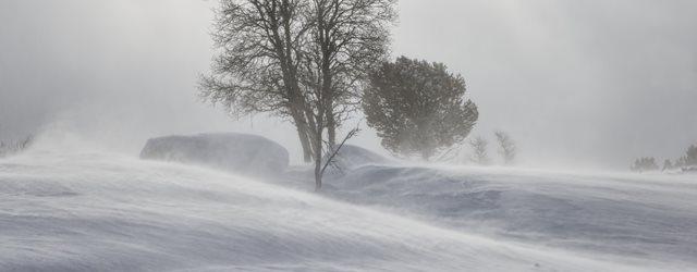 Février débute dans le froid et la neige ! 