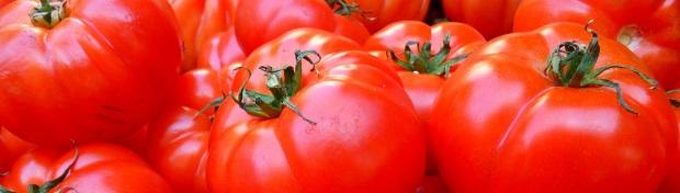 Des tomates