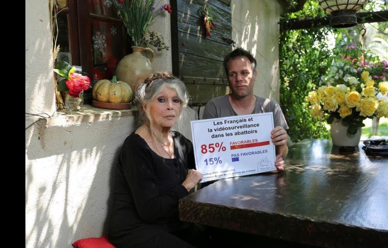 Leur combat contre la souffrance animale les a réunis.
