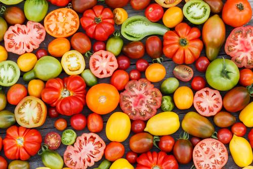 variétés tomates