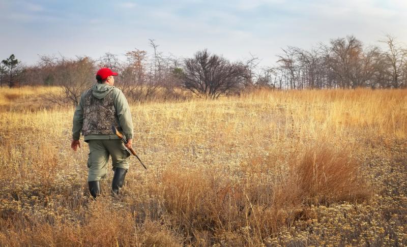 chasse (c) shutterstock