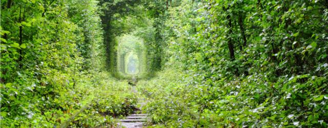 Traversez le tunnel de l'amour, en Ukraine