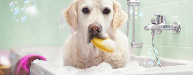 Déboucher une baignoire