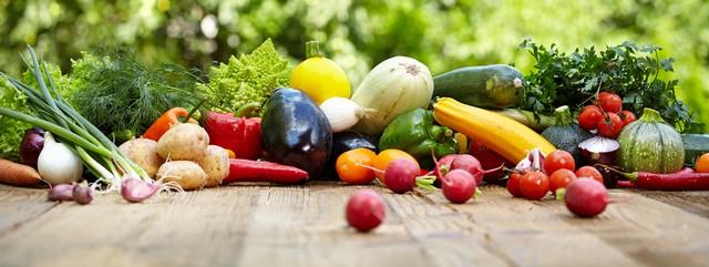potager juillet