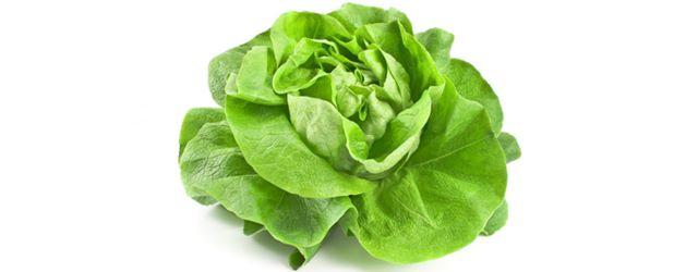 Des astronautes cultivent et mangent une salade depuis l'Espace