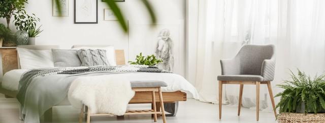 chambre plantes