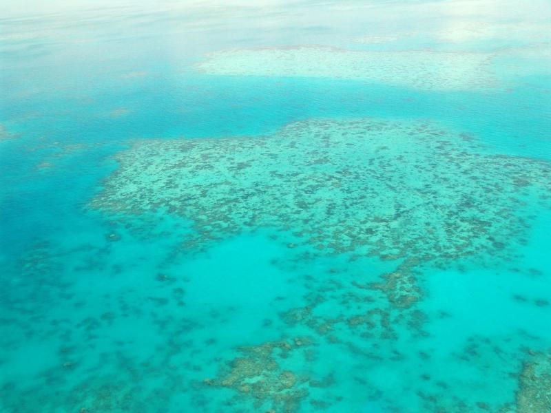 grande barrière de corail