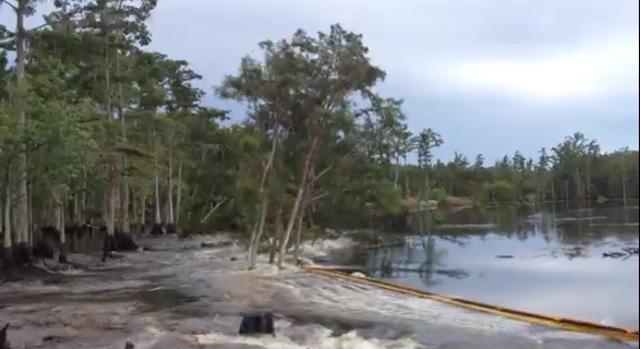 Un gouffre avale des arbres en Louisiane