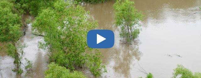 Bordeaux sous les eaux ?