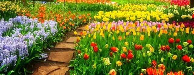 jardin coloré