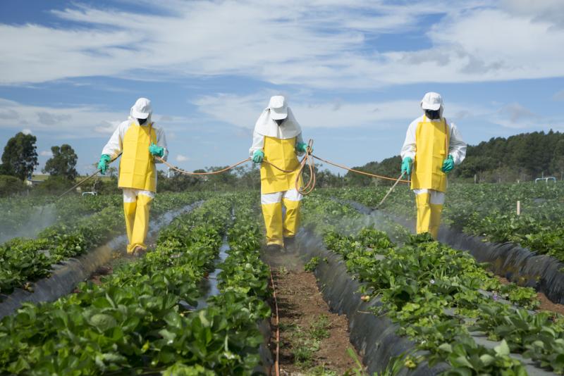 perturbateur-endocrinien-danger-pesticide-definition-france