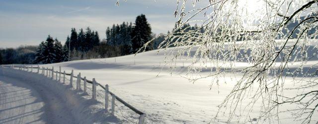 Les premières chutes de neige en France