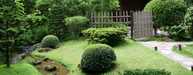 Au cur des jardins d'Albert Kahn