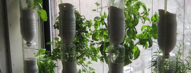 windowfarm