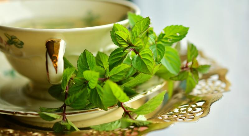 menthe poivrée