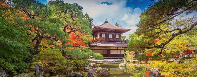 Profitez de la volupté de Kyoto