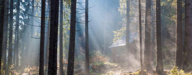 Vendredi 29 janvier : du soleil sur le pays