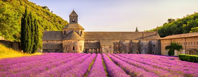 vaucluse lavande gordes