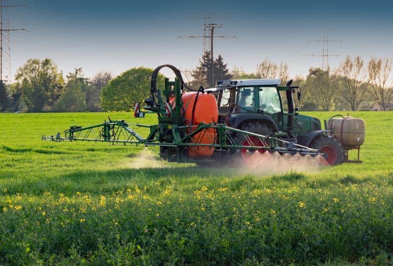 glyphosate