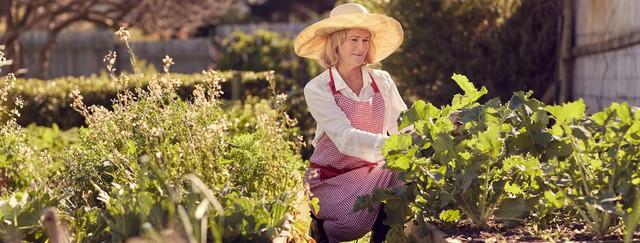 jardinage bienfaits