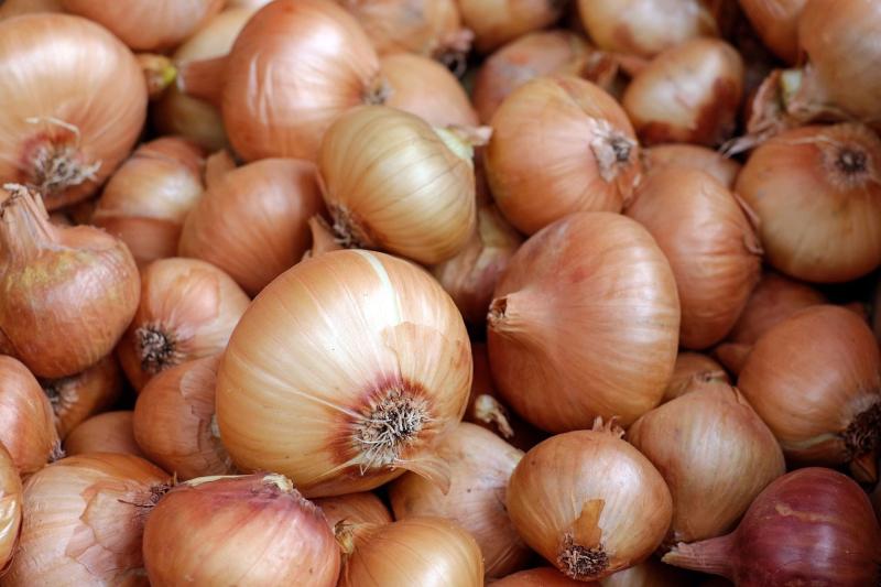 oignons