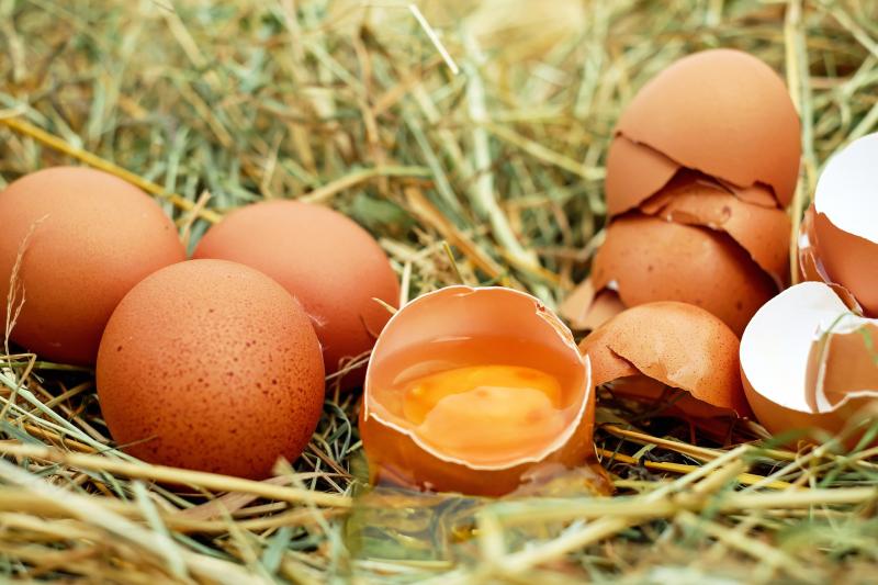 Les bienfaits des oeufs sur la santé (c) Shutterstock