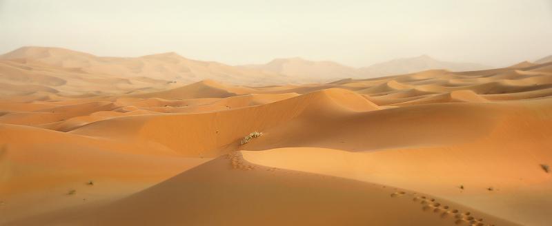 Le Sahara grignote peu à peu le Sahel qui le borde.