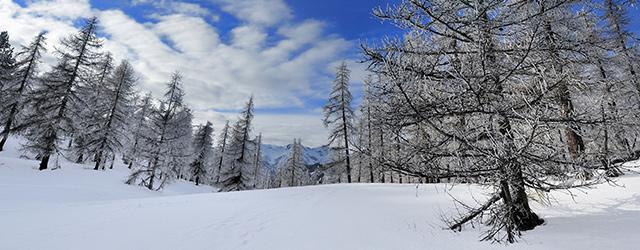 L'hiver au Colorado