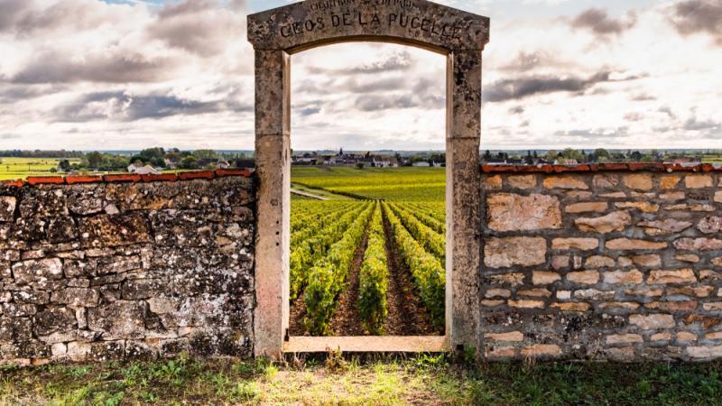 bourgogne vignes porte en pierre24405