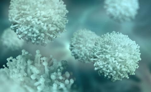 microbes